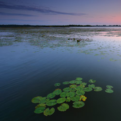 Western Polesie, Polesie Landscape Park