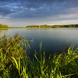 Łęczna-Włodawa Lake District, Western Polesie