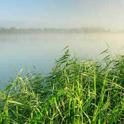 Łęczna-Włodawa Lake District, Western Polesie