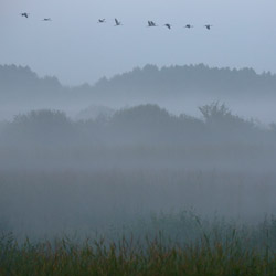 Western Polesie, Polesie National Park