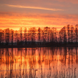 Łęczna-Włodawa Lake District, Western Polesie