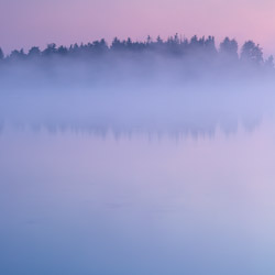 Pojezieże Łęczyńsko-Włodawskie, Polesie Zachodnie