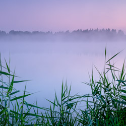 Pojezieże Łęczyńsko-Włodawskie, Polesie Zachodnie