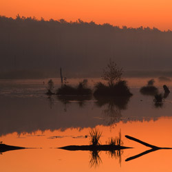 Western Polesie, Łęczna Lakes Landscape Park, Parczew Forests