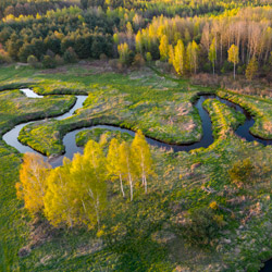 Bilgoraj Plain