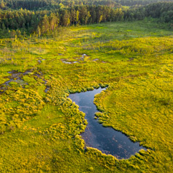 Bilgoraj Plain