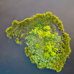 Łęczna-Włodawa Lake District, Western Polesie