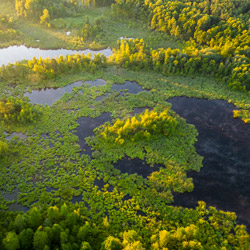 Łęczna-Włodawa Lake District, Western Polesie