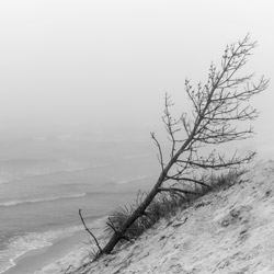 Slowinskie Coast, Slowinski National Park