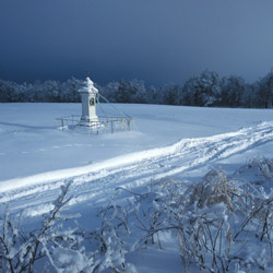 Roadside shrine, Western Roztocze