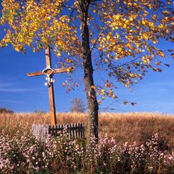 Roadside Cross, Przemysl Foothills