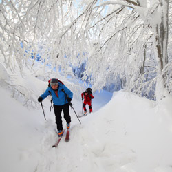 Bieszczady National Park, Western Bieszczady