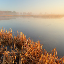 Bilgoraj Plain