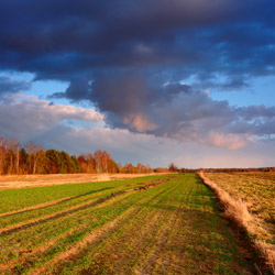 Bilgoraj Plain