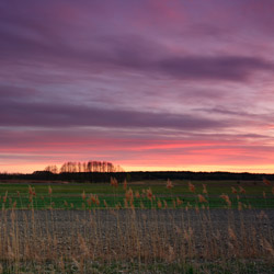 Bilgoraj Plain