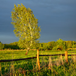 Bilgoraj Plain