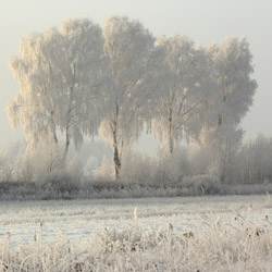 Bilgoraj Plain