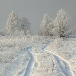 Bilgoraj Plain