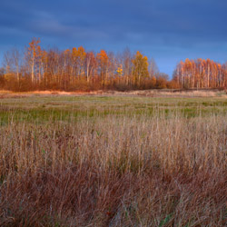 Bilgoraj Plain