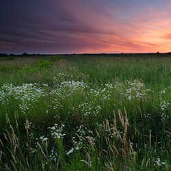 Bilgoraj Plain