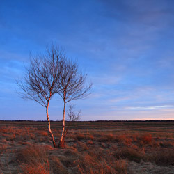 Bilgoraj Plain