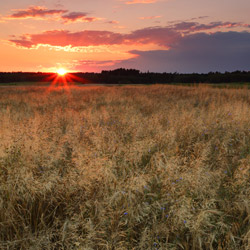 Bilgoraj Plain