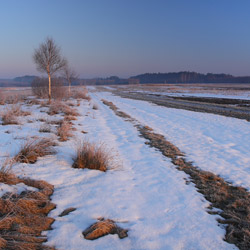 Bilgoraj Plain