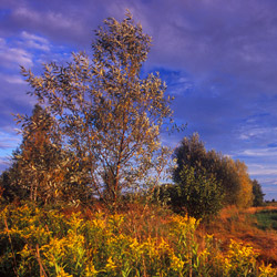 Bilgoraj Plain