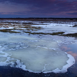 Bilgoraj Plain