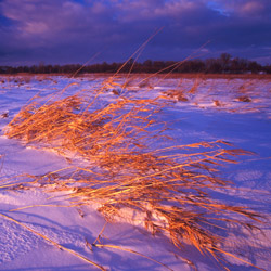 Bilgoraj Plain