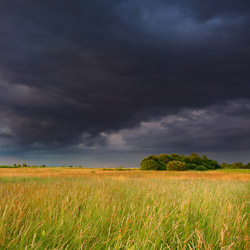 Bilgoraj Plain