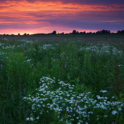 Bilgoraj Plain