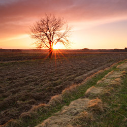 Bilgoraj Plain