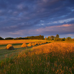 Bilgoraj Plain