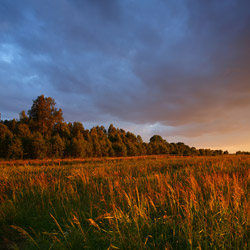 Bilgoraj Plain