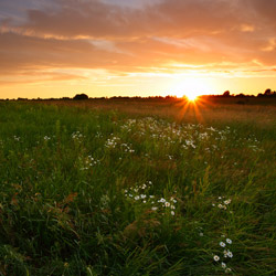 Bilgoraj Plain