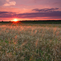 Bilgoraj Plain