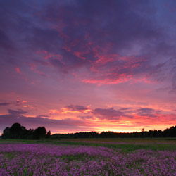 Bilgoraj Plain