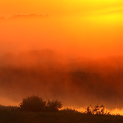 Biebrza Valley, Biebrza National Park, Podlasie