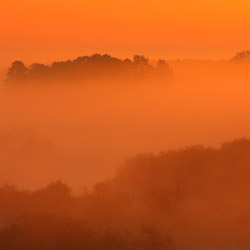 Biebrza Valley, Biebrza National Park, Podlasie