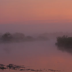 Biebrza Valley, Biebrza National Park, Podlasie