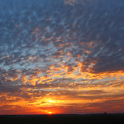 Biebrza Valley, Biebrza National Park, Podlasie