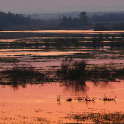 Kotlina Biebrzańska, Biebrzański Park Narodowy, Podlasie