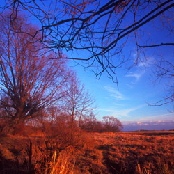 Upper Narew River Valley, Podlasie