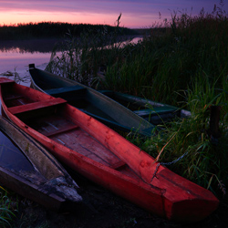 Upper Narew River Valley, Narew National Park, Podlasie