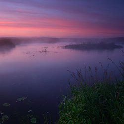 Upper Narew River Valley, Narew National Park, Podlasie