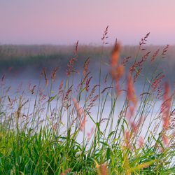 Upper Narew River Valley, Narew National Park, Podlasie