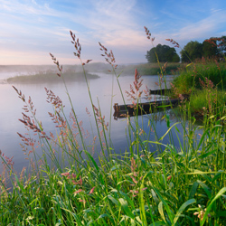 Dolina Górnej Narwi, Narwiański Park Narodowy, Podlasie