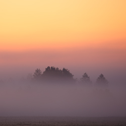 Dolina Górnej Narwi, Podlasie