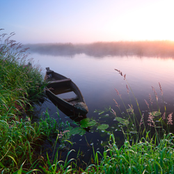 Upper Narew River Valley, Narew National Park, Podlasie